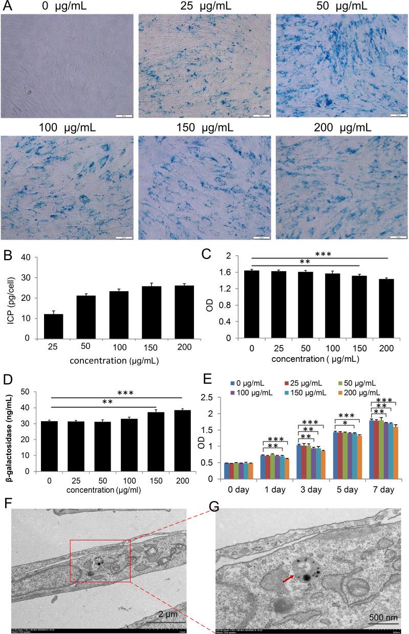 https://cdn.ncbi.nlm.nih.gov/pmc/blobs/086d/10826715/d73bb4a28d86/IJN-19-901-g0002.jpg