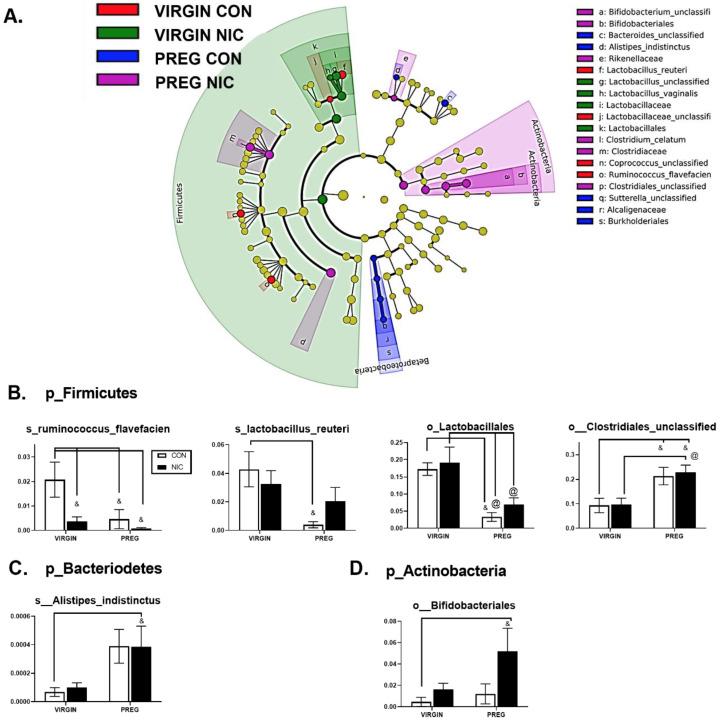 https://cdn.ncbi.nlm.nih.gov/pmc/blobs/0870/9414314/5f6d2674a70f/metabolites-12-00735-g004.jpg