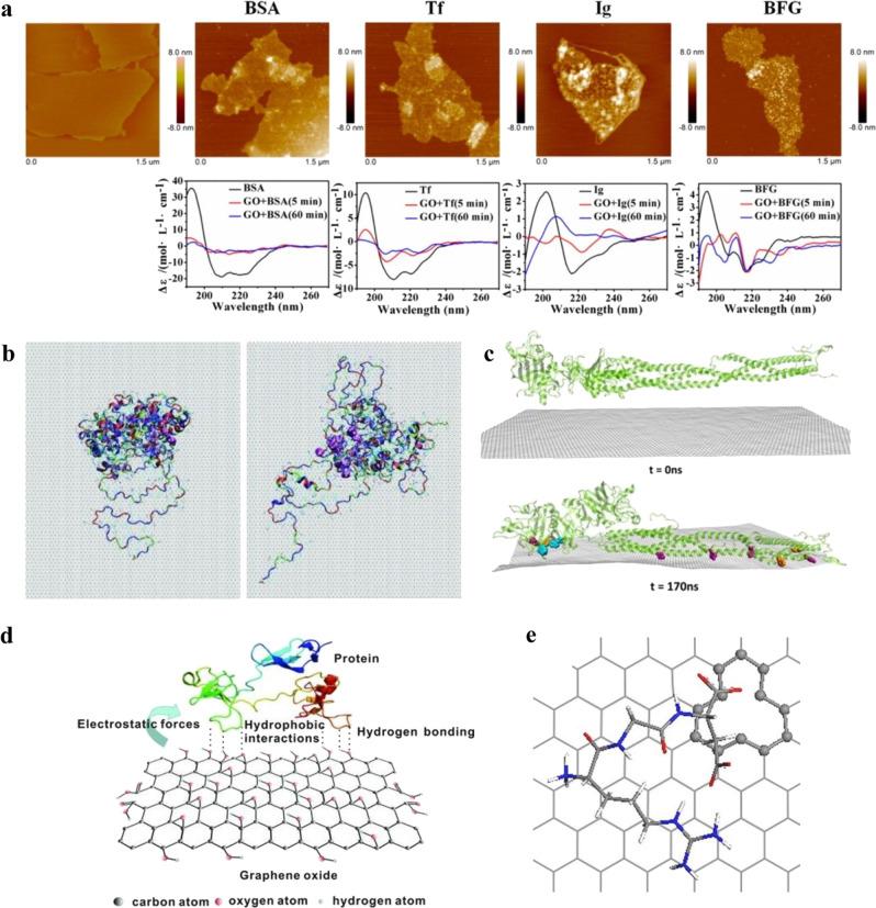 https://cdn.ncbi.nlm.nih.gov/pmc/blobs/0870/9814659/5e201286d231/42004_2019_254_Fig1_HTML.jpg