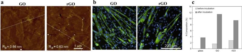 https://cdn.ncbi.nlm.nih.gov/pmc/blobs/0870/9814659/a1b535ae22dc/42004_2019_254_Fig5_HTML.jpg