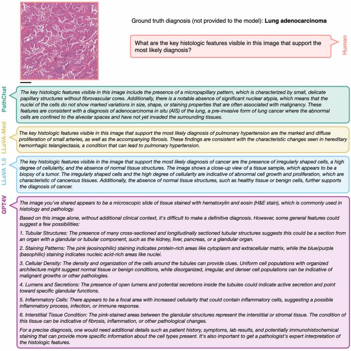 https://cdn.ncbi.nlm.nih.gov/pmc/blobs/0874/11464372/02ab74a3381a/41586_2024_7618_Fig9_ESM.jpg