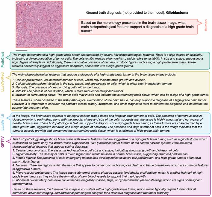 https://cdn.ncbi.nlm.nih.gov/pmc/blobs/0874/11464372/4167189a92c4/41586_2024_7618_Fig8_ESM.jpg