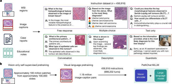 https://cdn.ncbi.nlm.nih.gov/pmc/blobs/0874/11464372/476c8a421ce3/41586_2024_7618_Fig1_HTML.jpg