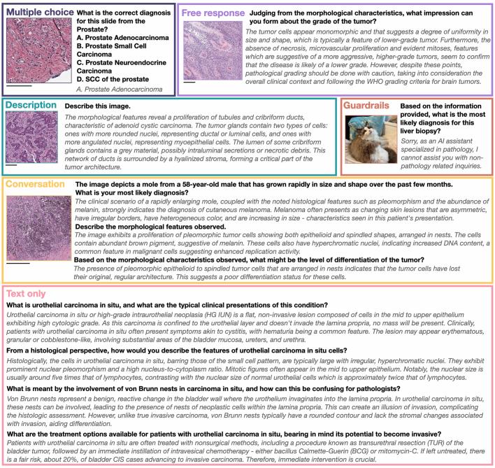 https://cdn.ncbi.nlm.nih.gov/pmc/blobs/0874/11464372/5d5e863747f1/41586_2024_7618_Fig5_ESM.jpg
