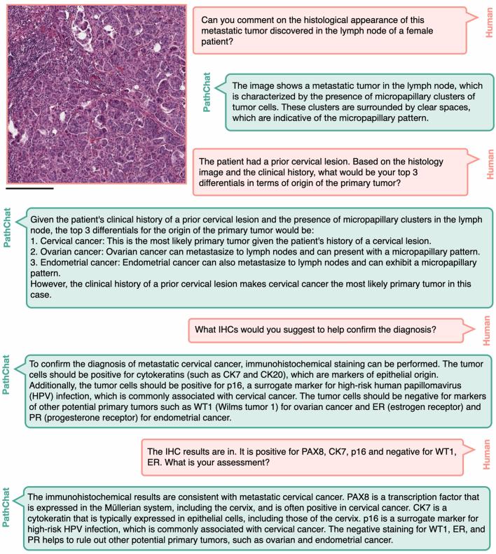 https://cdn.ncbi.nlm.nih.gov/pmc/blobs/0874/11464372/61ff13923cd4/41586_2024_7618_Fig14_ESM.jpg