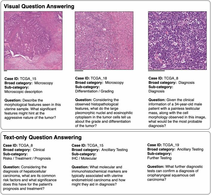 https://cdn.ncbi.nlm.nih.gov/pmc/blobs/0874/11464372/6f04d66992c4/41586_2024_7618_Fig11_ESM.jpg