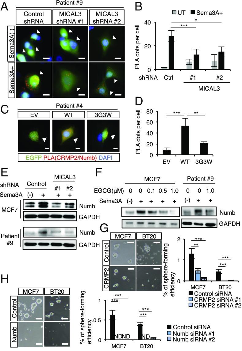https://cdn.ncbi.nlm.nih.gov/pmc/blobs/0874/6329980/39605c733673/pnas.1806851116fig05.jpg