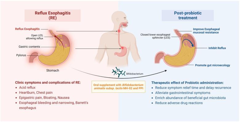 https://cdn.ncbi.nlm.nih.gov/pmc/blobs/0875/10856834/d7be035a1e78/nutrients-16-00342-g006.jpg