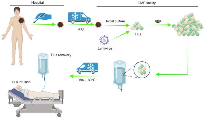 https://cdn.ncbi.nlm.nih.gov/pmc/blobs/0876/11082634/4ececdc28c5d/or-51-06-08744-g00.jpg