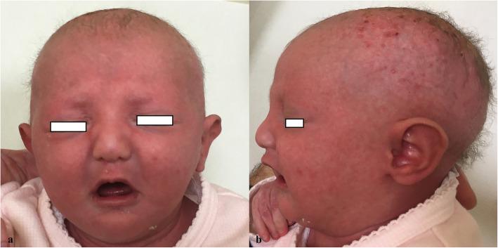 https://cdn.ncbi.nlm.nih.gov/pmc/blobs/0876/8479907/92d4ef8950a3/13052_2021_1152_Fig1_HTML.jpg