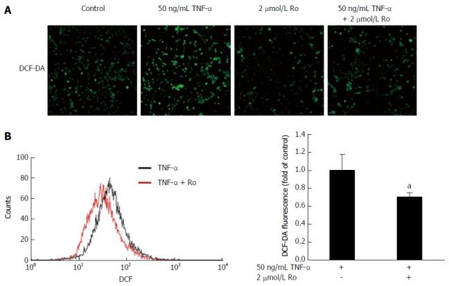 https://cdn.ncbi.nlm.nih.gov/pmc/blobs/0877/5504371/f949365d12ee/WJG-23-4559-g005.jpg