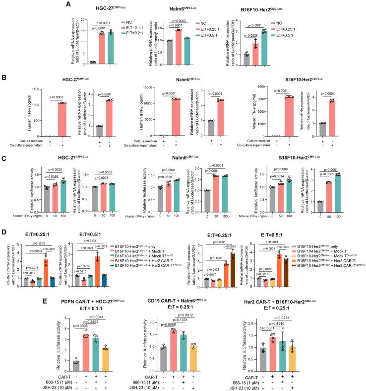 https://cdn.ncbi.nlm.nih.gov/pmc/blobs/0878/12329255/8fa72f283693/gr3.jpg