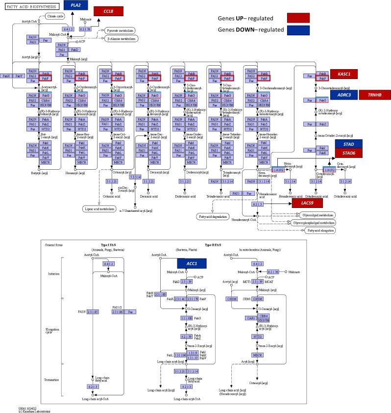 https://cdn.ncbi.nlm.nih.gov/pmc/blobs/087a/11539565/c0664b128249/12870_2024_5748_Fig3_HTML.jpg