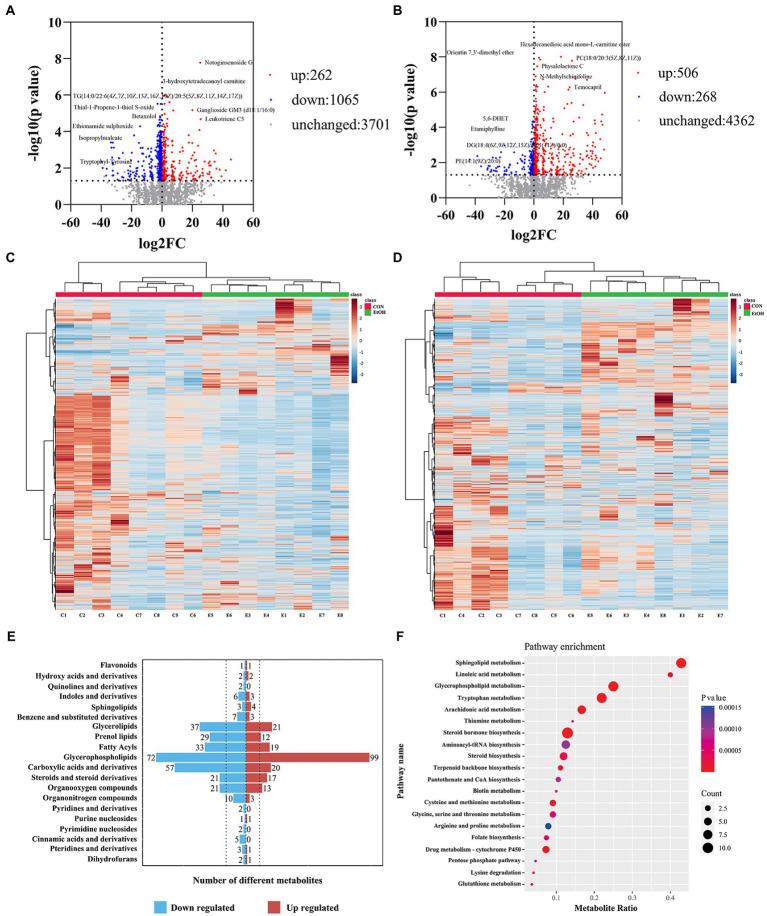 https://cdn.ncbi.nlm.nih.gov/pmc/blobs/087a/9846065/2b7047b55f77/fmicb-13-1068825-g011.jpg