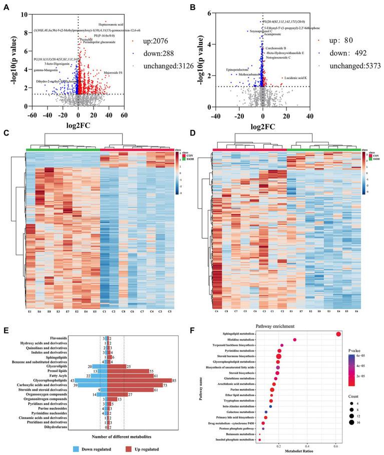 https://cdn.ncbi.nlm.nih.gov/pmc/blobs/087a/9846065/bdaad2ad52e7/fmicb-13-1068825-g008.jpg