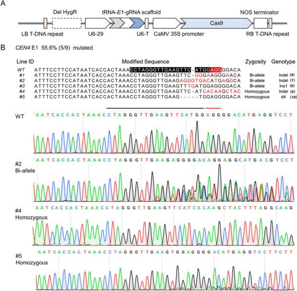 https://cdn.ncbi.nlm.nih.gov/pmc/blobs/087c/10759683/f9a2a1802399/43897_2023_77_Fig4_HTML.jpg