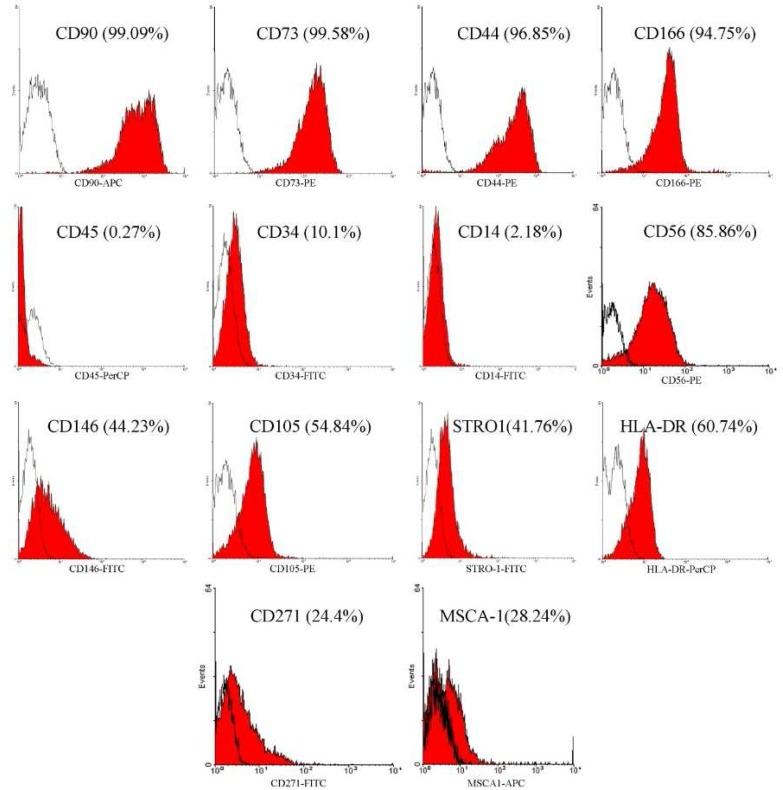 https://cdn.ncbi.nlm.nih.gov/pmc/blobs/087c/5282388/f323216f946e/iej-12-092-g003.jpg