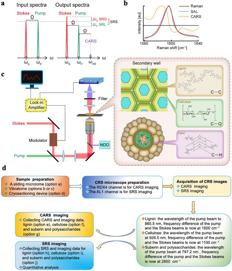 https://cdn.ncbi.nlm.nih.gov/pmc/blobs/0880/7980347/5834885df9a7/13007_2021_730_Fig1_HTML.jpg