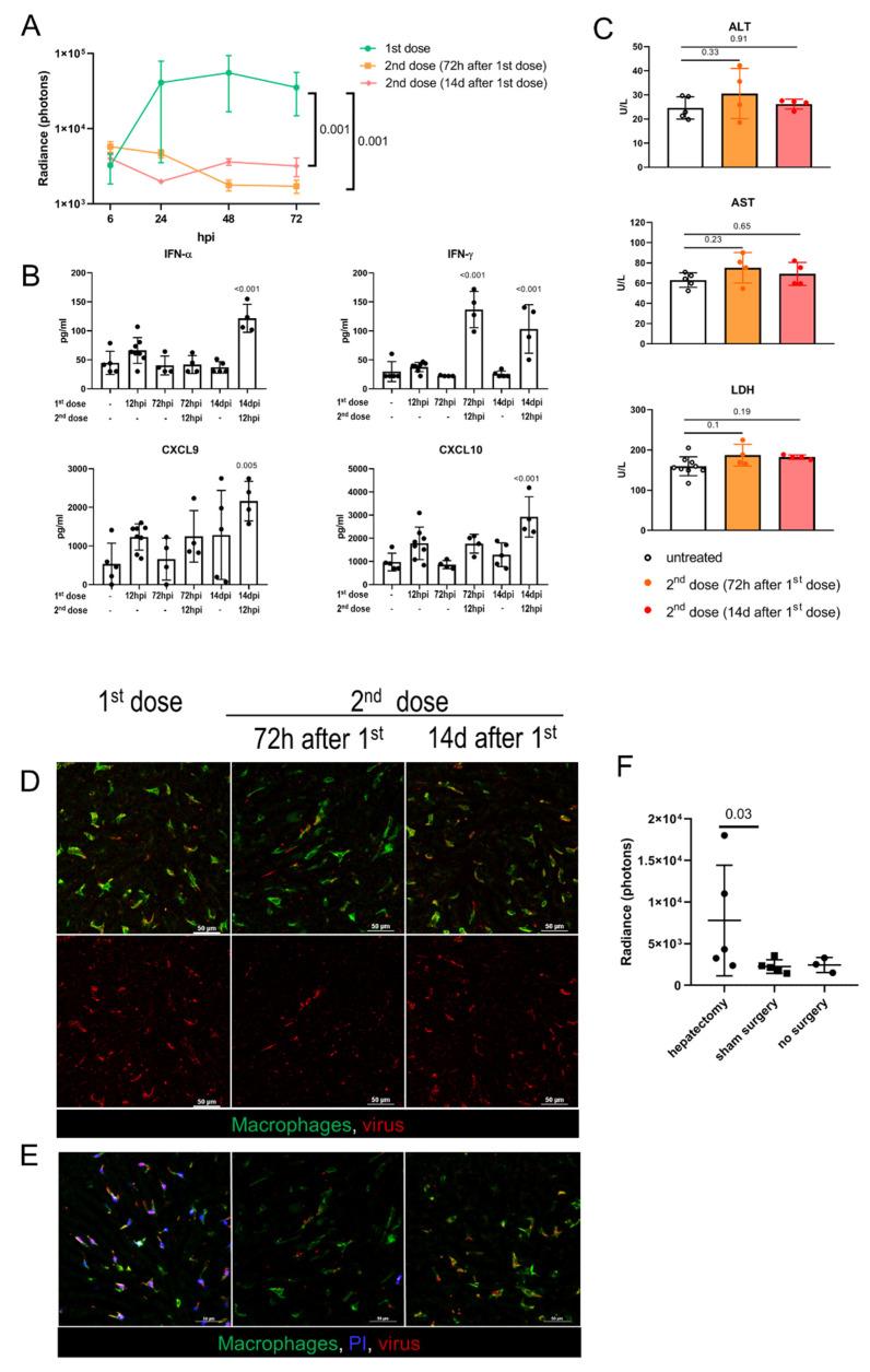 https://cdn.ncbi.nlm.nih.gov/pmc/blobs/0880/9313019/0c7dea8b68b8/biomedicines-10-01697-g004.jpg