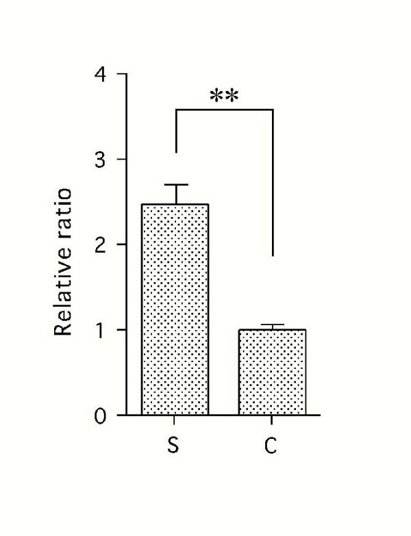 https://cdn.ncbi.nlm.nih.gov/pmc/blobs/0883/1276803/77e2a3881716/1478-811X-3-11-2.jpg