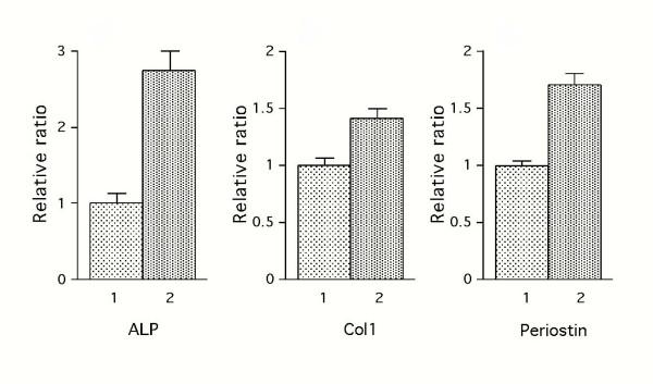 https://cdn.ncbi.nlm.nih.gov/pmc/blobs/0883/1276803/b8f0bbc6f78d/1478-811X-3-11-4.jpg