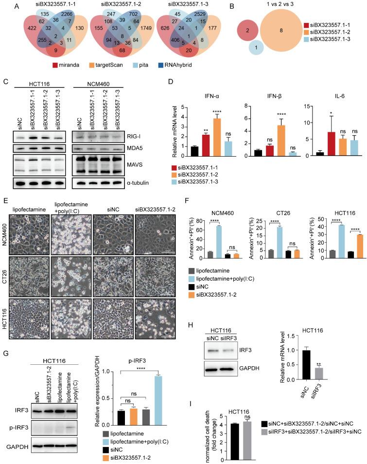https://cdn.ncbi.nlm.nih.gov/pmc/blobs/0888/11493012/1695eda1e6d1/jcav15p5956g007.jpg