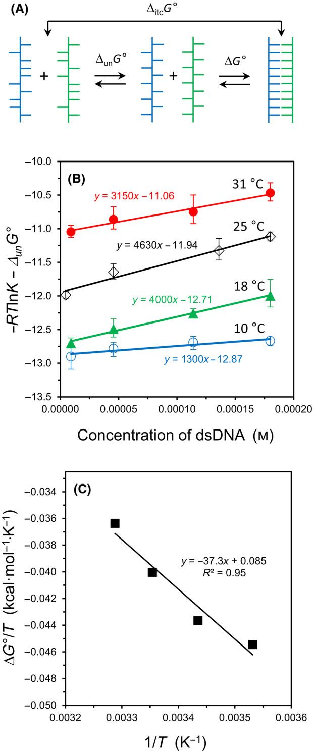 https://cdn.ncbi.nlm.nih.gov/pmc/blobs/0889/11532980/cd7e85aa033b/FEB4-14-1837-g008.jpg
