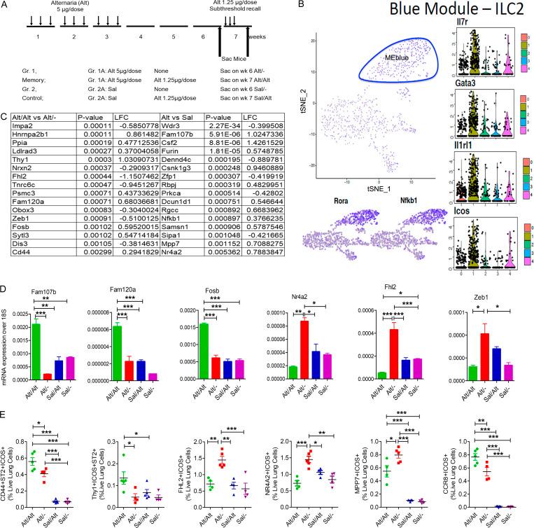 https://cdn.ncbi.nlm.nih.gov/pmc/blobs/0889/8176441/102260a00dae/JEM_20201354_Fig5.jpg