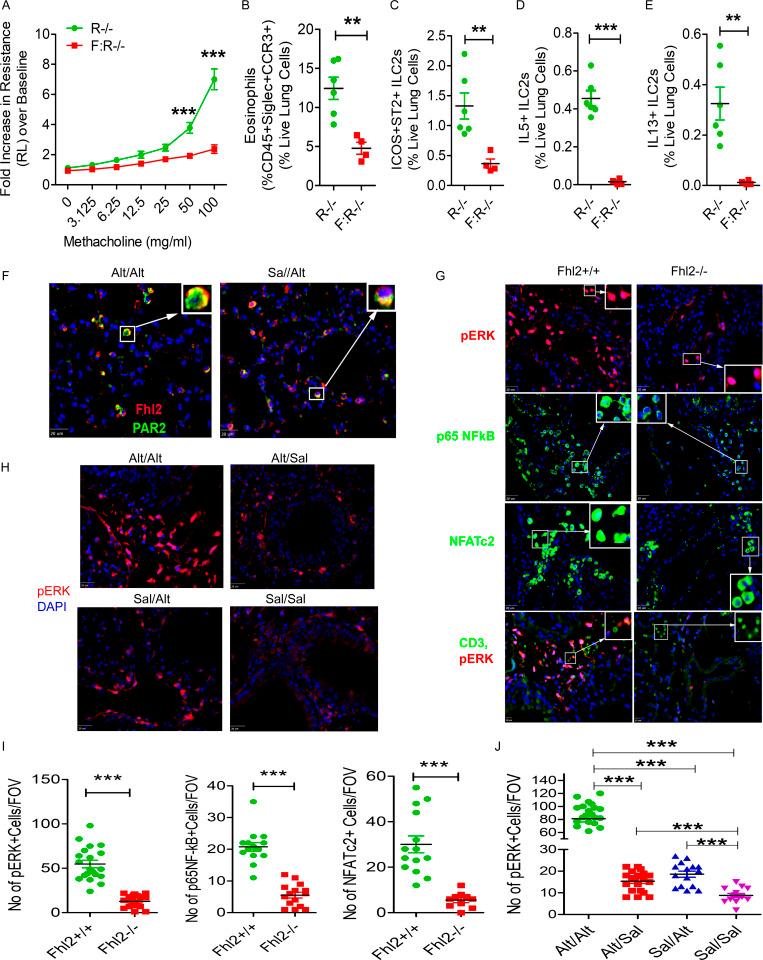 https://cdn.ncbi.nlm.nih.gov/pmc/blobs/0889/8176441/5f1a73b15bf4/JEM_20201354_Fig8.jpg