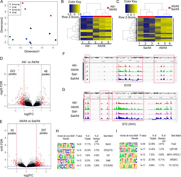 https://cdn.ncbi.nlm.nih.gov/pmc/blobs/0889/8176441/a5ca9fc6de4d/JEM_20201354_Fig6.jpg
