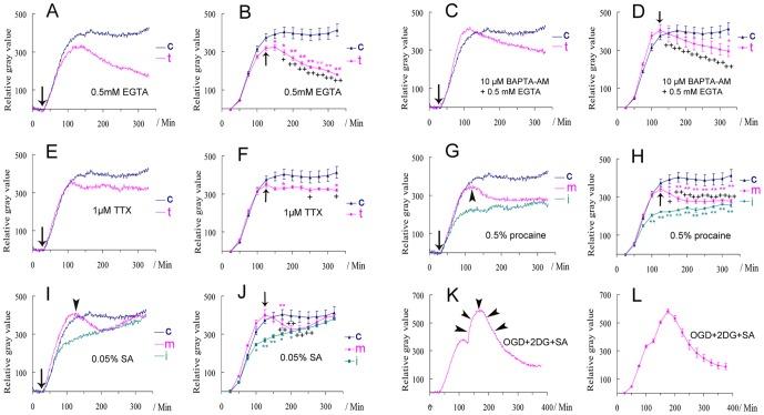 https://cdn.ncbi.nlm.nih.gov/pmc/blobs/088a/3893221/5bdf2395f334/pone.0085643.g003.jpg