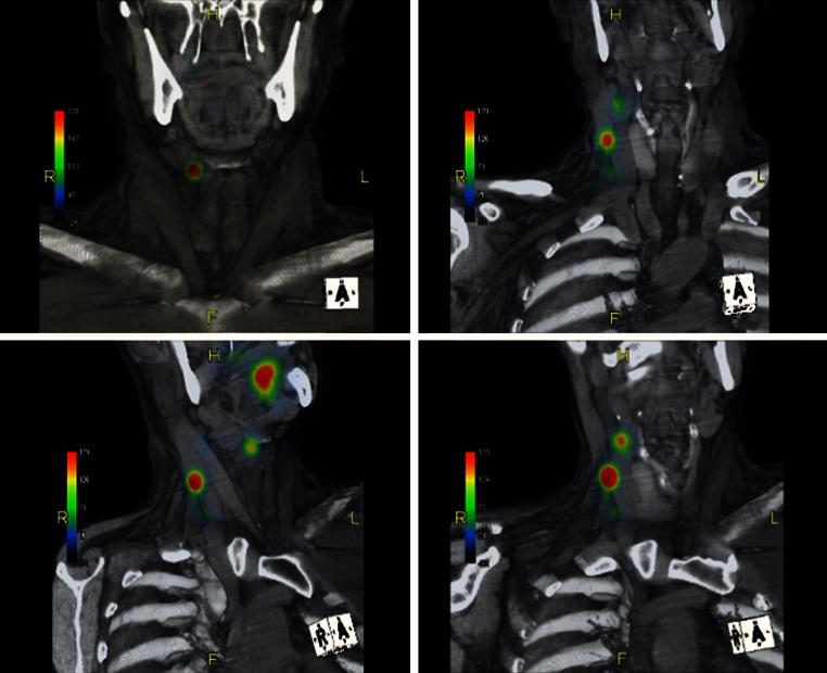 https://cdn.ncbi.nlm.nih.gov/pmc/blobs/088d/4565859/ed8180995bdc/10434_2015_4382_Fig1_HTML.jpg