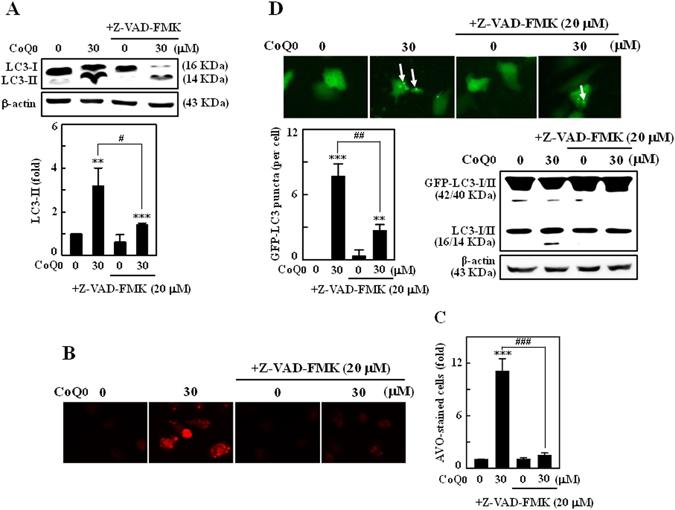 https://cdn.ncbi.nlm.nih.gov/pmc/blobs/088d/5556069/3dc1ef3dacd9/41598_2017_8659_Fig8_HTML.jpg