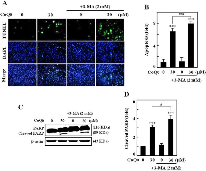 https://cdn.ncbi.nlm.nih.gov/pmc/blobs/088d/5556069/eb029336773b/41598_2017_8659_Fig9_HTML.jpg