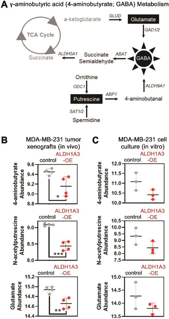 https://cdn.ncbi.nlm.nih.gov/pmc/blobs/088d/8739322/b6809fc69bdd/11306_2021_1864_Fig3_HTML.jpg