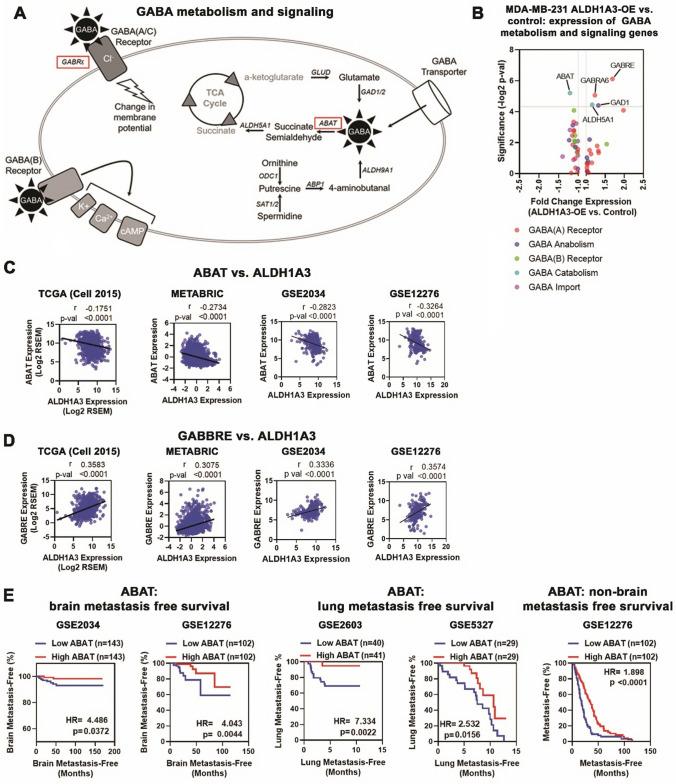 https://cdn.ncbi.nlm.nih.gov/pmc/blobs/088d/8739322/f86e8764a3d9/11306_2021_1864_Fig6_HTML.jpg