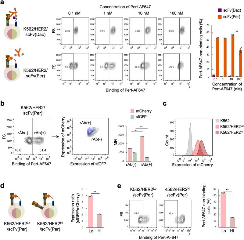 https://cdn.ncbi.nlm.nih.gov/pmc/blobs/088e/11133372/e95aad9bddac/42003_2024_6363_Fig3_HTML.jpg