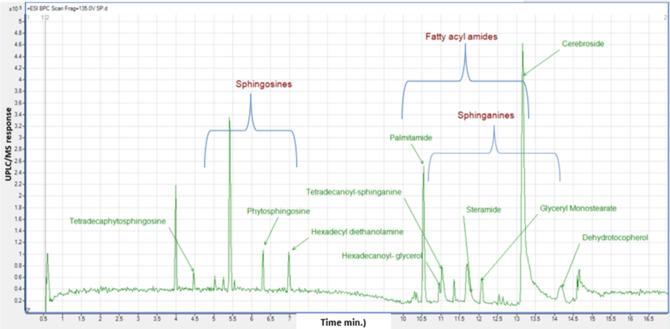 https://cdn.ncbi.nlm.nih.gov/pmc/blobs/088e/11366232/a7cff2e84191/peerj-12-17914-g003.jpg