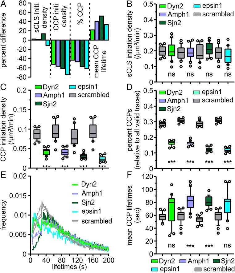 https://cdn.ncbi.nlm.nih.gov/pmc/blobs/088f/7749282/82eefc7c047d/pnas.2020346117fig06.jpg