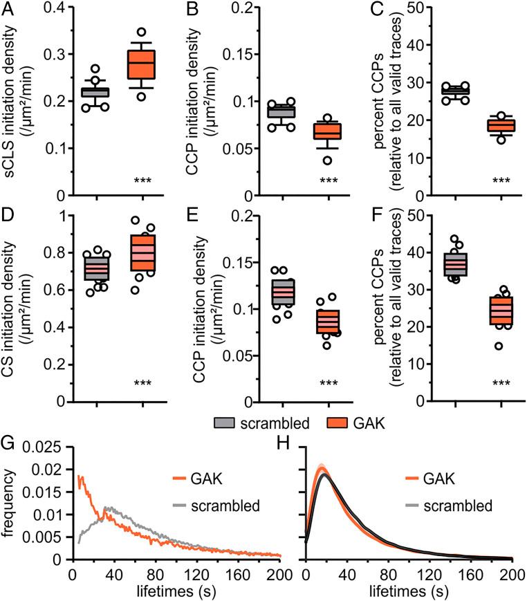 https://cdn.ncbi.nlm.nih.gov/pmc/blobs/088f/7749282/e8f33e9aafe6/pnas.2020346117fig04.jpg