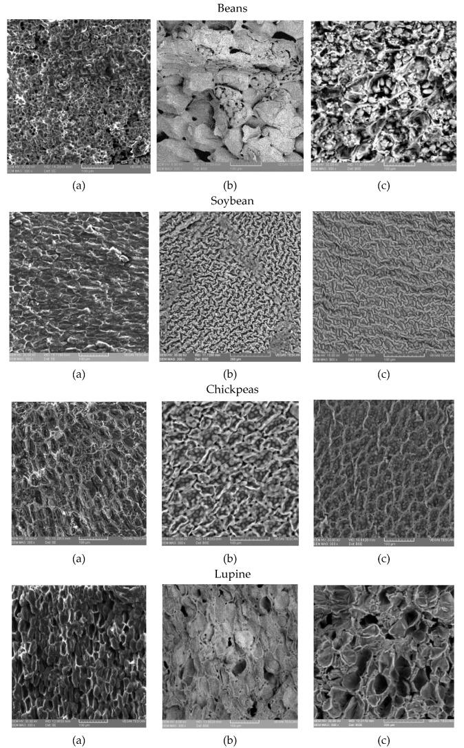 https://cdn.ncbi.nlm.nih.gov/pmc/blobs/0890/8004221/65161dbe6af6/plants-10-00592-g002a.jpg