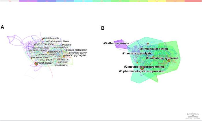 https://cdn.ncbi.nlm.nih.gov/pmc/blobs/0892/8794585/36ddac688ac2/fmolb-08-797902-g007.jpg