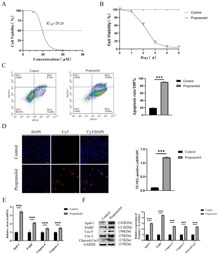 https://cdn.ncbi.nlm.nih.gov/pmc/blobs/0894/12108718/507cfbb8866c/biomedicines-13-01092-g001.jpg