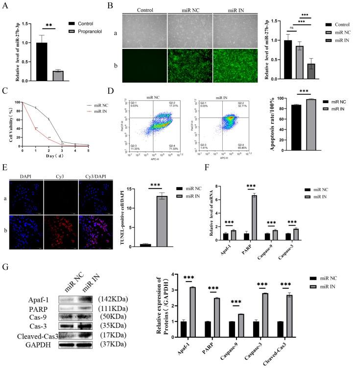 https://cdn.ncbi.nlm.nih.gov/pmc/blobs/0894/12108718/8780c3ee34a7/biomedicines-13-01092-g002.jpg