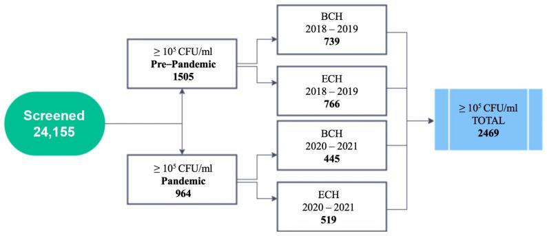 https://cdn.ncbi.nlm.nih.gov/pmc/blobs/0894/8944623/037d7b4cc9b6/antibiotics-11-00376-g001.jpg