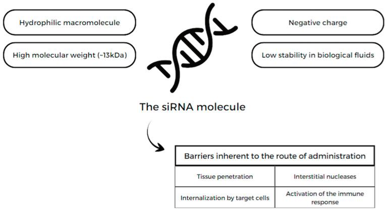 https://cdn.ncbi.nlm.nih.gov/pmc/blobs/0895/10975559/21f04da441bd/pharmaceuticals-17-00289-g002.jpg