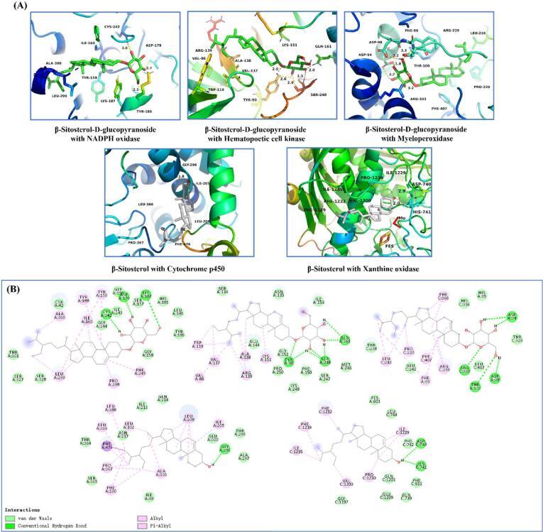 https://cdn.ncbi.nlm.nih.gov/pmc/blobs/0895/9303827/ac90cb63ba5c/gr4.jpg