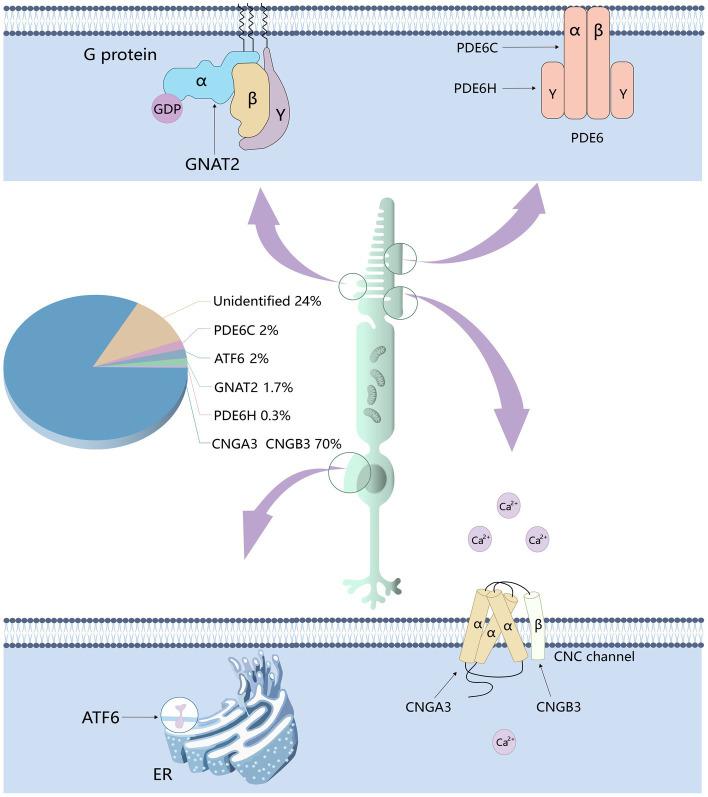 https://cdn.ncbi.nlm.nih.gov/pmc/blobs/0899/10828017/171d60eea89e/fnins-18-1265630-g002.jpg