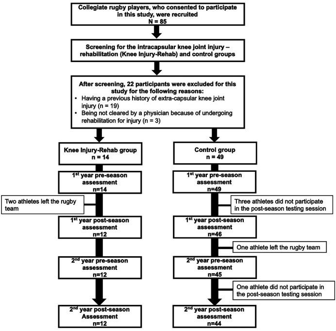 https://cdn.ncbi.nlm.nih.gov/pmc/blobs/089a/10808301/ea50f71a9559/fspor-05-1309938-g002.jpg