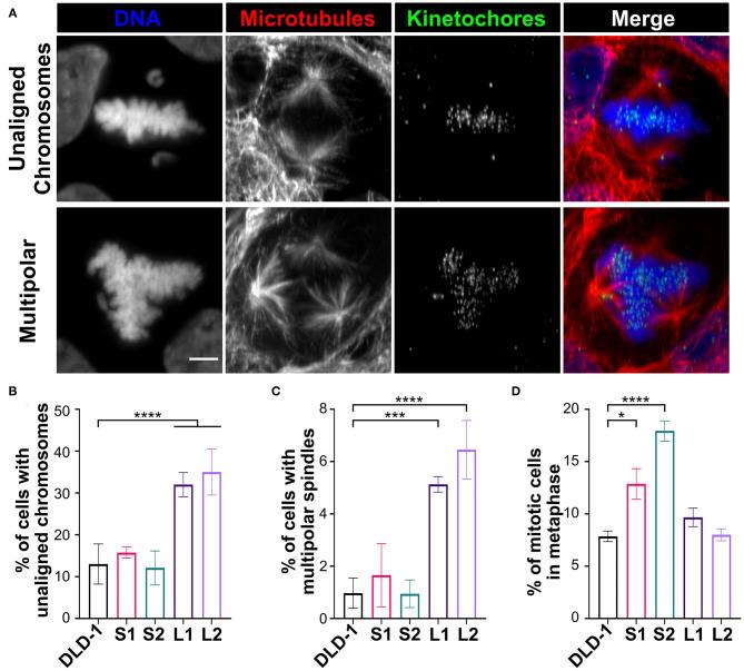 https://cdn.ncbi.nlm.nih.gov/pmc/blobs/089b/7877541/e167b4ae73a5/fphys-11-596263-g0004.jpg